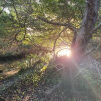 Hiking & Camping