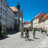 Eco Tours