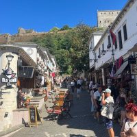 Bus & Minivan Tours