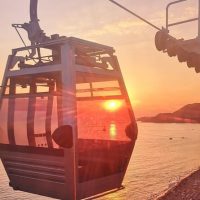 Trolley Tours