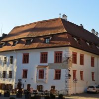 Cultural Tours