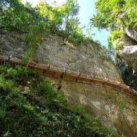 Half-day Tours