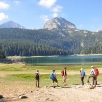 Bus & Minivan Tours