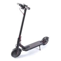 Bike Rentals