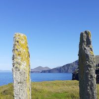 Half-day Tours