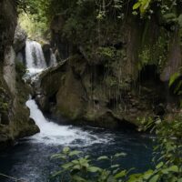 Full-day Tours