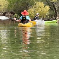 Boat Tours