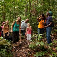 Walking & Biking Tours