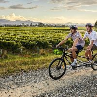 Private & Custom Tours