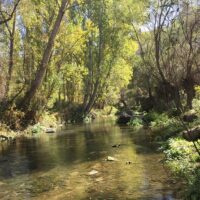 Hiking & Camping