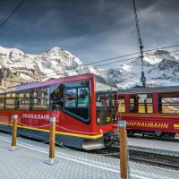 Full-day Tours