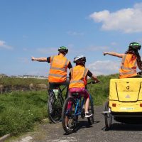 Bike Rentals