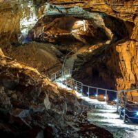Half-day Tours