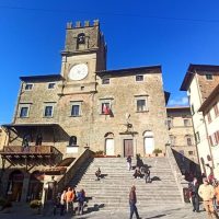Tours & Sightseeing
