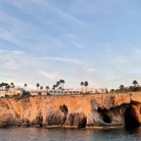 Half-day Tours