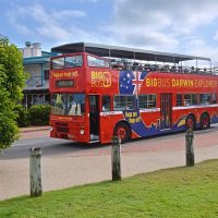 Hop-on Hop-off Tours