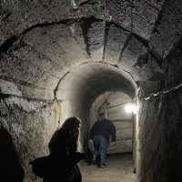 Private & Custom Tours