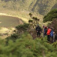 Hiking & Camping