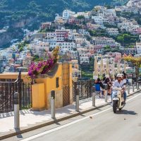 Vehicle Rentals