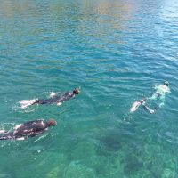 Snorkeling