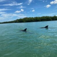 Self-guided Tours & Rentals