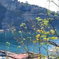 Historical & Heritage Tours