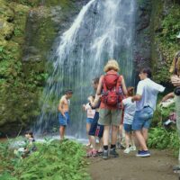 Half-day Tours