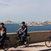 Bike Rentals