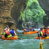 Boat Tours