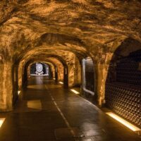 Wine Tasting & Winery Tours