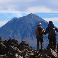 Walking Tours