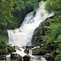 Hiking & Camping