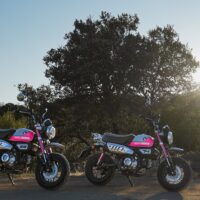 Motorcycle Tours