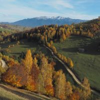 Sustainable Tours