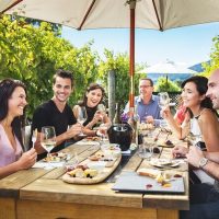 Beer & Brewery Tours