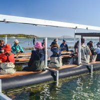 Luxury Tours