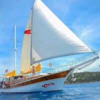 Private & Custom Tours