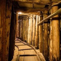 Holiday & Seasonal Tours