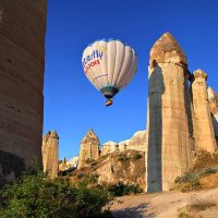 Multi-day Cruises