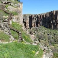 Cultural Tours