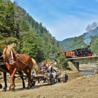 Overnight Tours