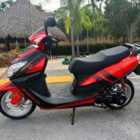 Vehicle Rentals