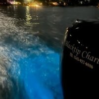 Private Sightseeing Tours