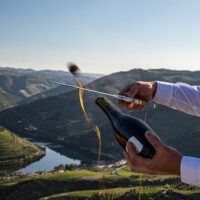 Wine Tasting & Winery Tours