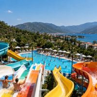 Theme Park Tickets & Tours