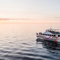 Holiday & Seasonal Tours