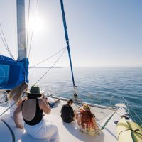 Dolphin & Whale Watching