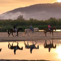 Horseback Riding