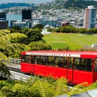 Trolley Tours