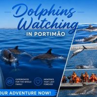 Walking Tours